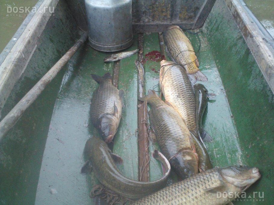 рыбалка в астрахани на бушме рыбалка в астрахани на бушме