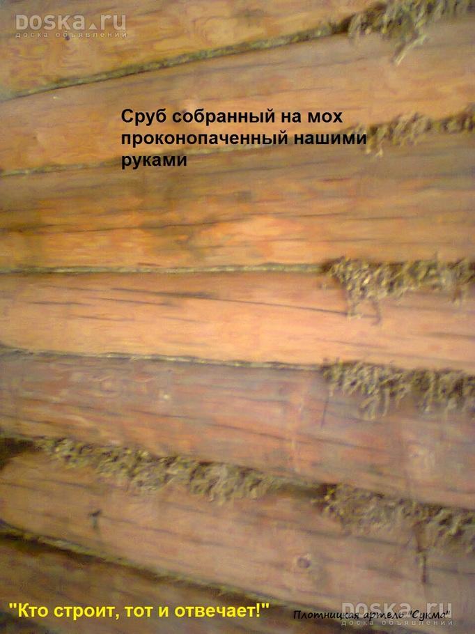 Конопатка мха своими руками Конопатка мха своими руками