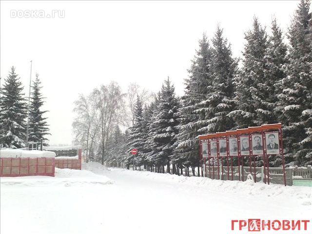 Колывань Аллея На Московской Фото