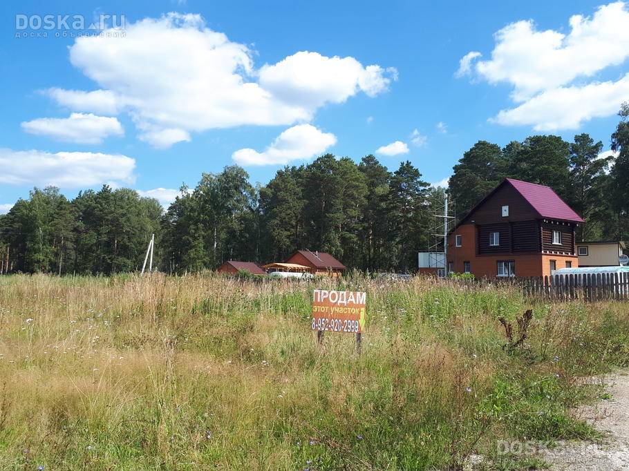 Участок новосибирская. Село Сосновка Новосибирская область. Сосновка Новосибирск село. Новосибирск Пашино деревня Сосновка. Деревня Сосновка Новосибирская область пляж.