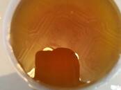 Продовольствие Мёд, цена 500 рублей/литр, Фото