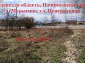 Земля и участки,  Смоленская область Починок, цена 110 000 рублей, Фото