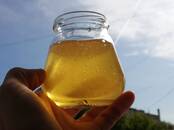Продовольствие Мёд, цена 350 рублей/кг., Фото