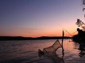 Земля и участки,  Воронежская область Воронеж, цена 50 000 000 рублей, Фото