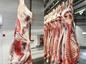 Продовольствие Мясо птицы, цена 380 y.e./кг., Фото