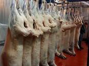 Продовольствие Мясо птицы, цена 380 рублей/кг., Фото