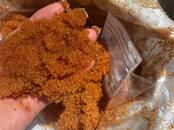 Работа и бизнес Разное, Фото