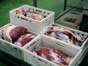 Продовольствие Другие мясопродукты, цена 100 рублей/кг., Фото