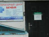 Ветеринария Ветеринары и ветеринарные клиники, цена 900 рублей, Фото