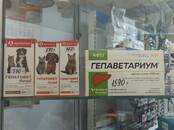 Ветеринария Ветеринары и ветеринарные клиники, цена 500 рублей, Фото