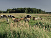 Туризм Cельский туризм, цена 1 000 рублей/день, Фото