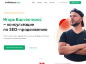 Интернет-услуги Web-дизайн и разработка сайтов, цена 499 рублей, Фото
