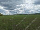 Земля и участки,  Тульская область Другое, цена 11 500 000 рублей, Фото