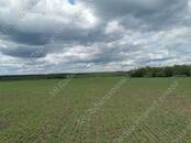 Земля и участки,  Тульская область Другое, цена 11 500 000 рублей, Фото