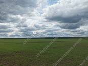 Земля и участки,  Тульская область Другое, цена 45 750 000 рублей, Фото