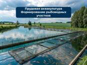 Юридические услуги Разное, Фото