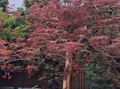 Дома, хозяйства,  Ростовская область Ростов-на-Дону, цена 23 000 000 рублей, Фото