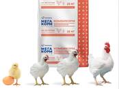 Животноводство Корм, цена 950 рублей/шт., Фото