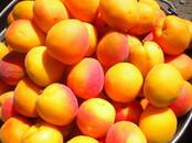 Сельское хозяйство Разное, цена 295 рублей, Фото