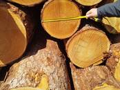 Стройматериалы,  Материалы из дерева Брёвна, цена 10 000 рублей, Фото