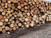 Стройматериалы,  Материалы из дерева Брёвна, цена 10 000 рублей, Фото