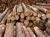 Стройматериалы,  Материалы из дерева Брёвна, цена 10 000 рублей, Фото