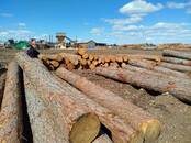 Стройматериалы,  Материалы из дерева Брёвна, цена 10 000 рублей, Фото