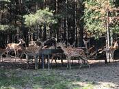 Охота, рыбалка Другое, Фото