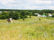 Земля и участки,  Воронежская область Воронеж, цена 50 000 000 рублей, Фото