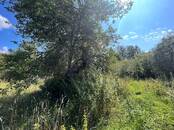 Дома, хозяйства,  Рязанская область Рыбное, Фото