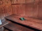 Дачи и огороды,  Свердловская область Невьянск, Фото