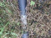 Дачи и огороды,  Московская область Дмитровское ш., Фото