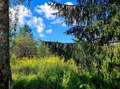 Дачи и огороды,  Псковская область Псков, Фото