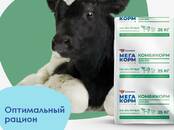 Животноводство Корм, Фото