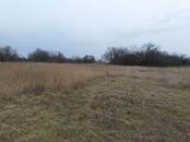 Земля и участки,  Краснодарский край Калининская, Фото