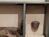 Гаражи,  Новосибирская область Новосибирск, Фото