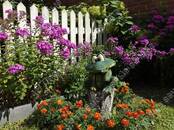 Дачи и огороды,  Московская область Мытищи, Фото