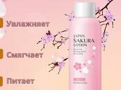 Интернет-услуги Web-дизайн и разработка сайтов, Фото