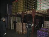 Другое... Разное, Фото