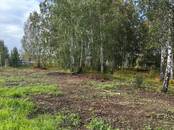 Здания и комплексы,  Красноярский край Красноярск, Фото