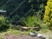 Дома, хозяйства,  Московская область Пятницкое ш., Фото