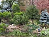 Дома, хозяйства,  Московская область Пятницкое ш., Фото