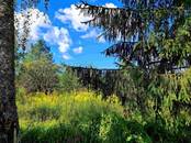 Дачи и огороды,  Псковская область Псков, Фото