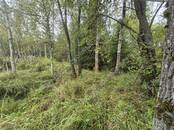 Дачи и огороды,  Московская область Минское ш., Фото