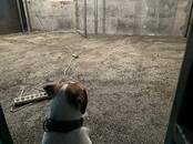 Стройматериалы Цемент, известь, Фото