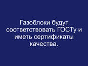 Деловые контакты Поиск инвестора, Фото