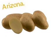 Сельское хозяйство Семена и рассада, Фото