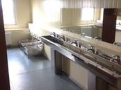 Сантехника Унитазы, Фото