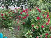 Дома, хозяйства,  Рязанская область Рыбное, Фото