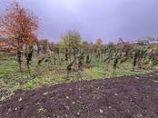 Дома, хозяйства,  Рязанская область Рыбное, Фото